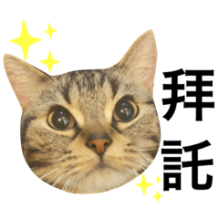 Anita_20220217205916