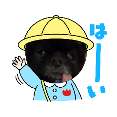 くま君すたんぷ