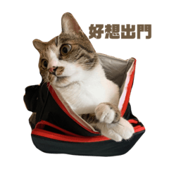 Cindy_20220424175654