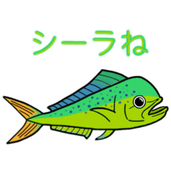 可愛いペンギンちゃん