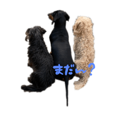 ちっとんとんスタンプ