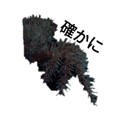 海の仲間たちin水族館バージョン