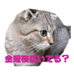 ちゃんぴえスタンプ2