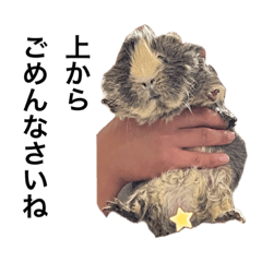 うちんちのモカ2