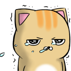 猫のぶちゃまる☆その8