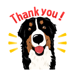 バーニーズと一緒