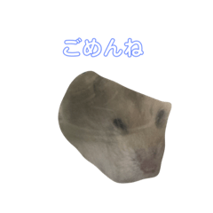 はむちたーさん