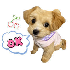 マルプーつぶあん