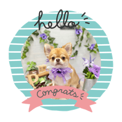 天のかわいいスタンプ