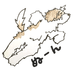 ラブラドゥードルのBruno。