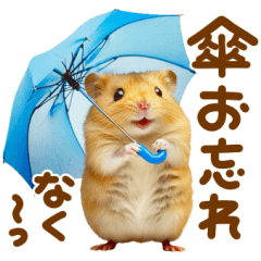 梅雨初夏♡ハムスター