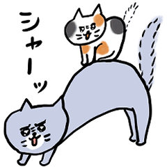 灰色キャットと猫ともだち