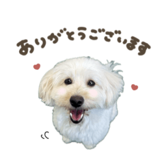 スフレちゃん♡ねねちゃんスタンダード