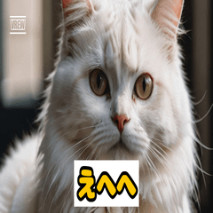 にゃんこの百面相。