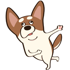 チワワのピノ♪