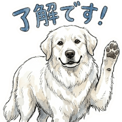 365日使えるグレートピレニーズ【敬語】