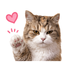 OporCat