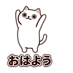 使いやすい白猫の日常スタンプ