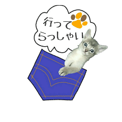 こねこ☆すたんぷ 8