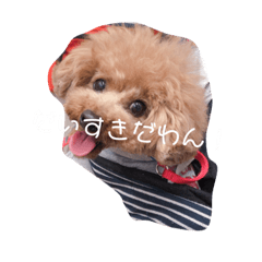 ももちゃん あんずちゃん