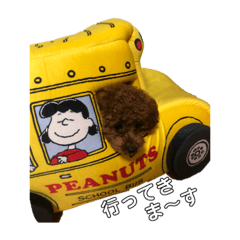 トイプードルの「ポッキー」「ぷりん」