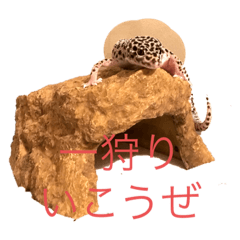ゲッコー丸1