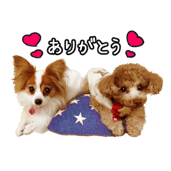 こぱきらちゃん