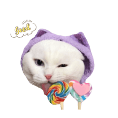 吾輩はねこである。（第2弾）