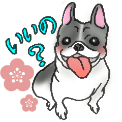 かわいいワンコの優しいスタンプ