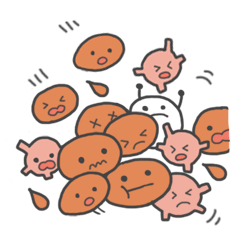 可愛い臓器ちゃん