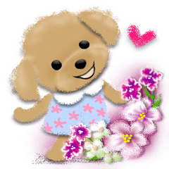 大人キュートな日常&お誕生日セット♡