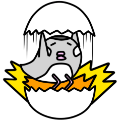 文鳥ピヨさんの日常