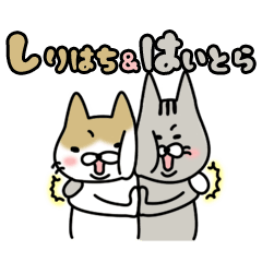 しりはち＆はいとら