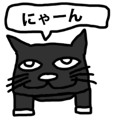 黒猫のぬこ