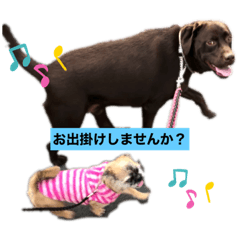 夢芽5（凸凹コンビ）