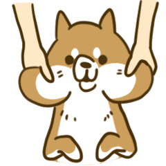 柴&ポメと愉快な仲間たち