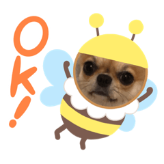 こっちゃんと犬の使いやすいスタンプ