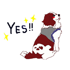 キャバリアのキャンディちゃん