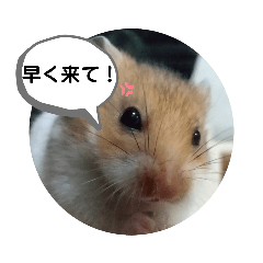 誰かを迎えに行くときのスタンプ