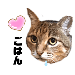 ちースタンプ 第1弾