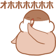 シナモン文鳥のしなもんちゃん2