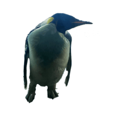 たくさんの動物たちです