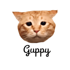 ぐっぴーのスタンプ 第2弾