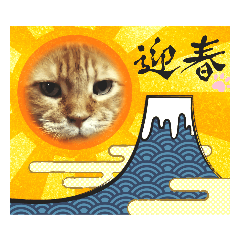 我がねこスタンプ