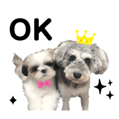 わたしたちアリフィー　1