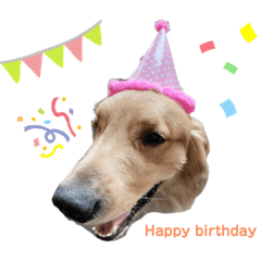 Sharon_20210404195410