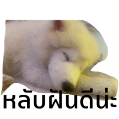 Ple_20210511165608