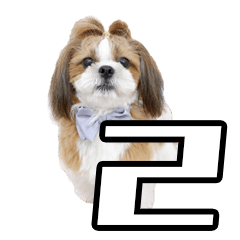 シーズー犬の実写の日常スタンプPART2