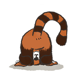 レッサーパンダとしっぽ