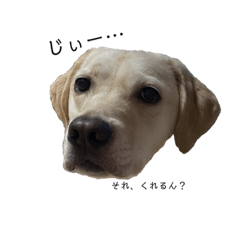 たけおすたんぷ【その弍】